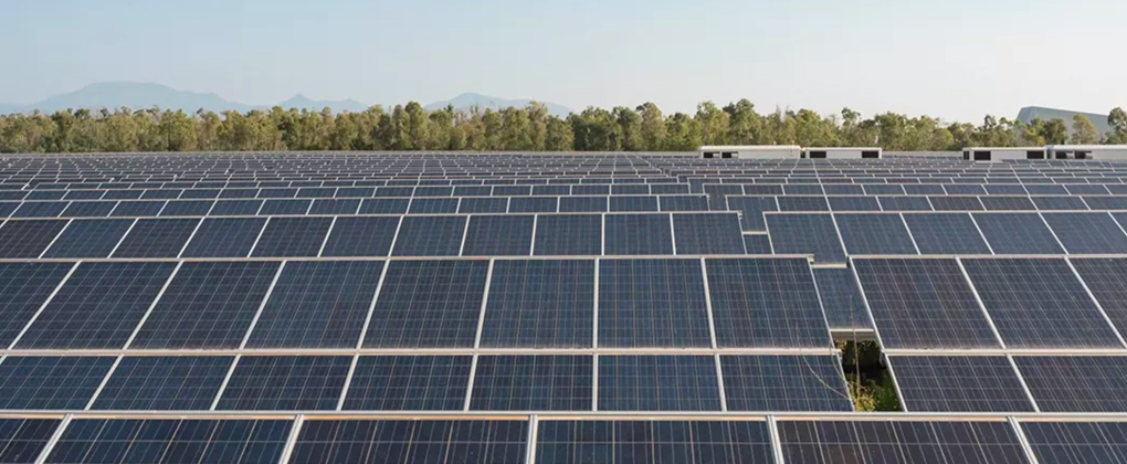 Un parco fotovoltaico con degli alberi sullo sfondo.