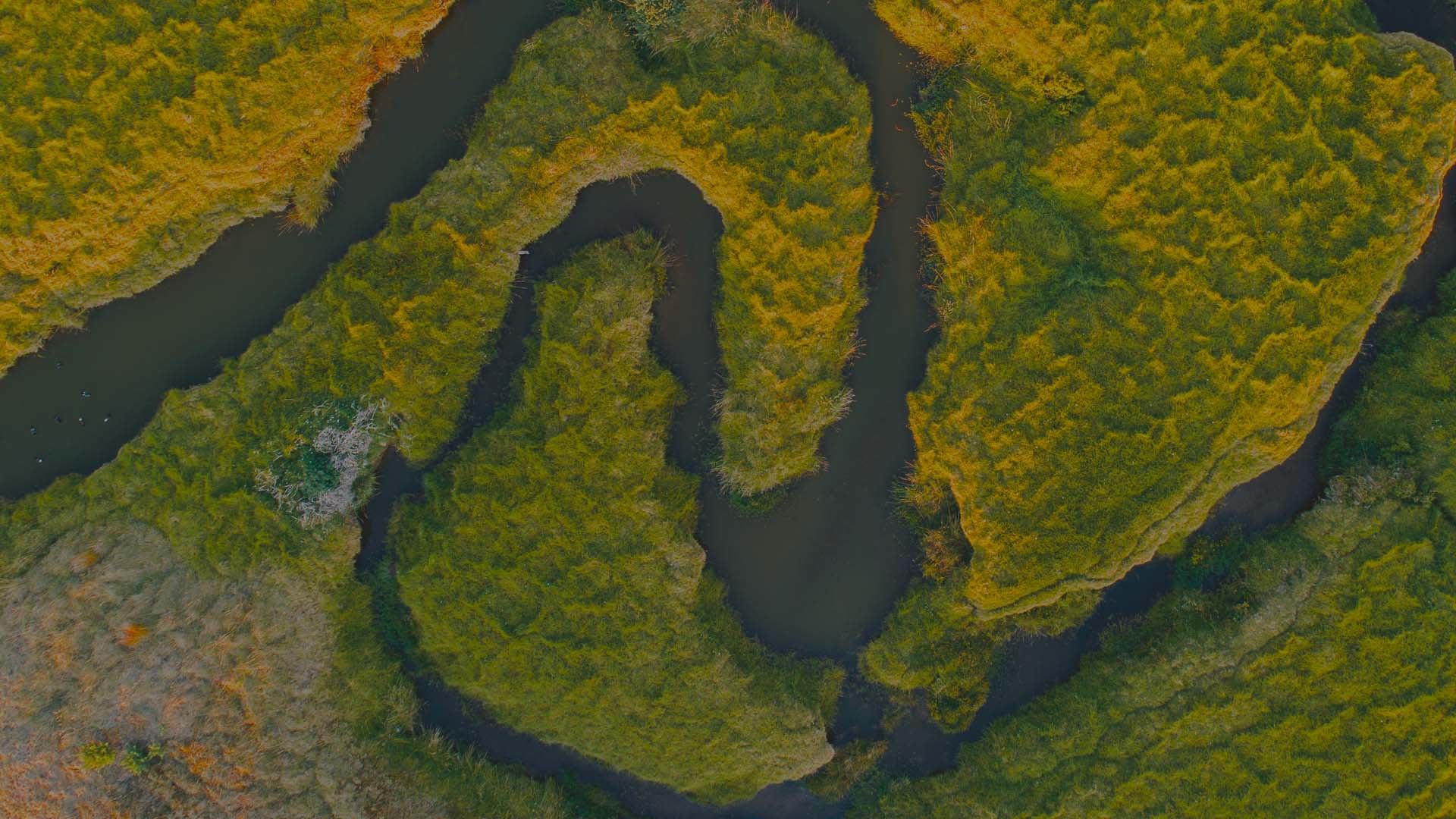 Landscape seen from above